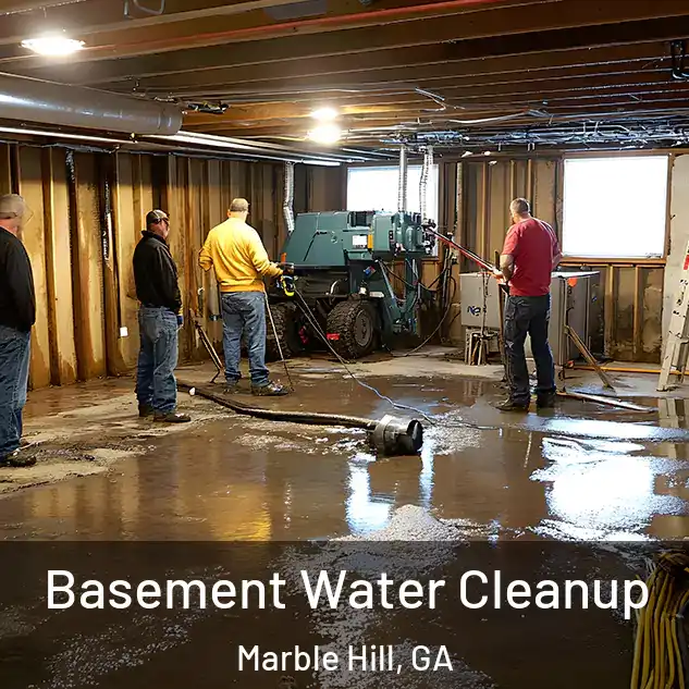  Basement Water Cleanup Marble Hill, GA