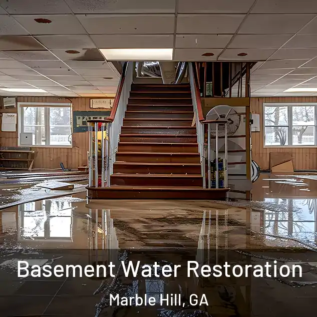  Basement Water Restoration Marble Hill, GA