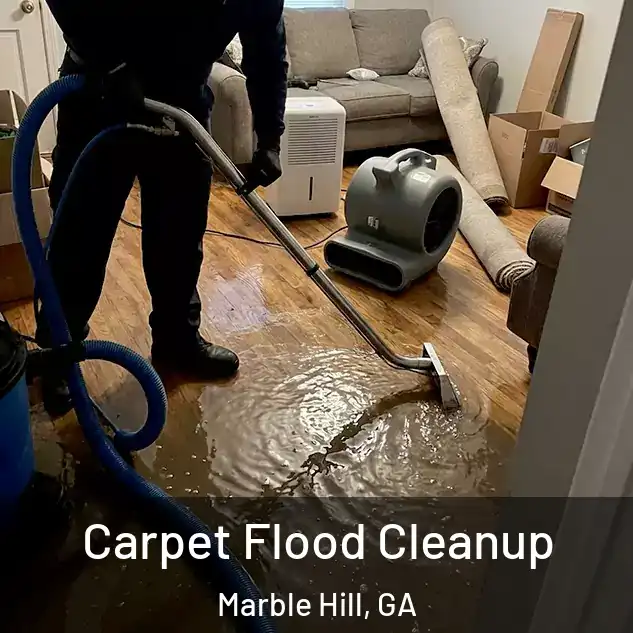  Carpet Flood Cleanup Marble Hill, GA