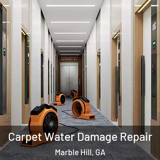  Carpet Water Damage Repair Marble Hill, GA