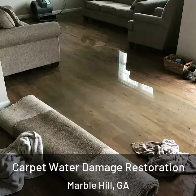  Carpet Water Damage Restoration Marble Hill, GA