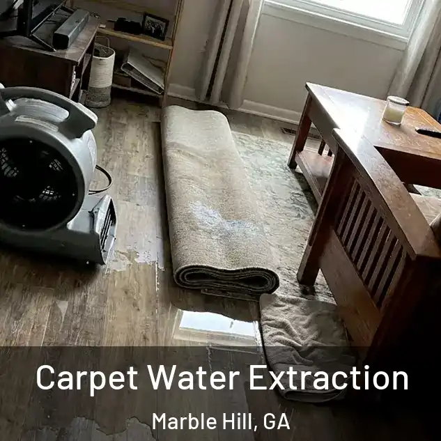  Carpet Water Extraction Marble Hill, GA