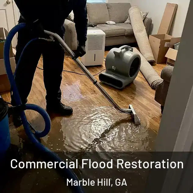  Commercial Flood Restoration Marble Hill, GA