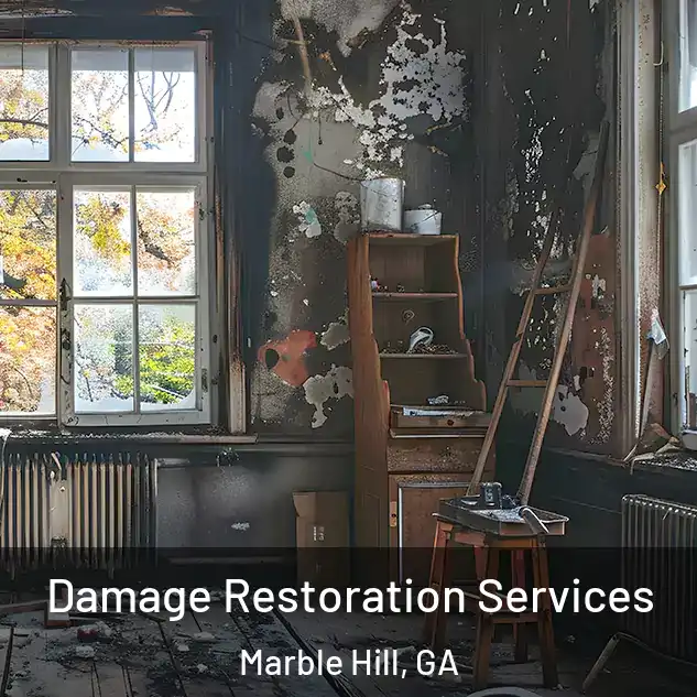  Damage Restoration Services Marble Hill, GA
