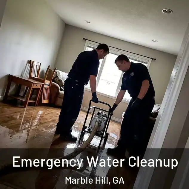  Emergency Water Cleanup Marble Hill, GA