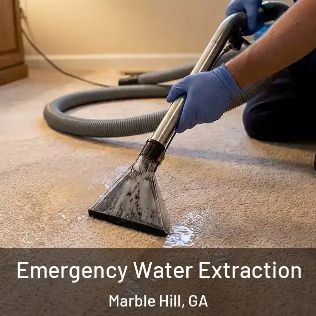  Emergency Water Extraction Marble Hill, GA