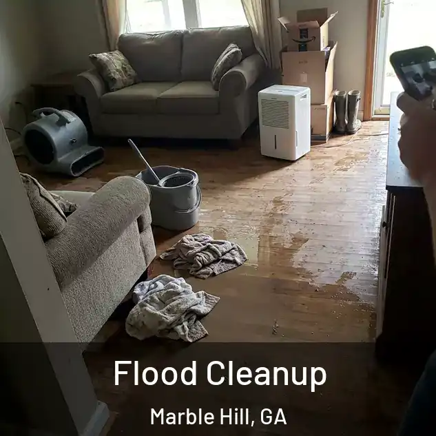  Flood Cleanup Marble Hill, GA