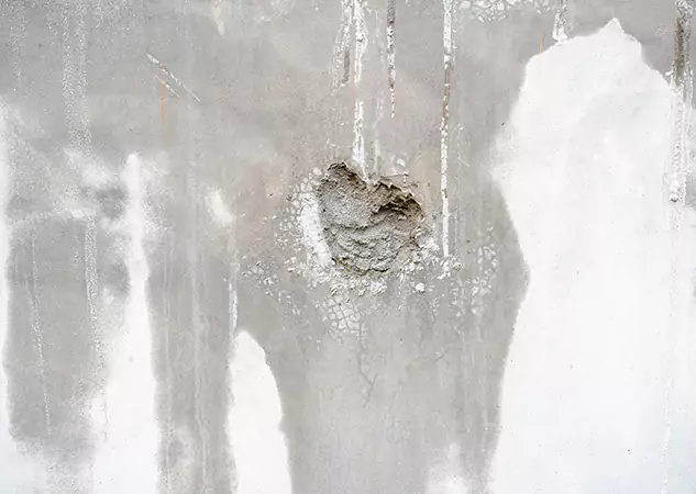Your Mold Mitigation Solutions Partner in Marble Hill, GA
