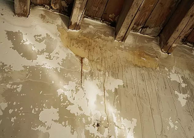 Your Trusted Restoration Company in Marble Hill, GA