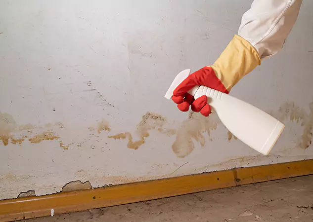 Your Water Restoration and Mold Remediation Specialists in Marble Hill, GA