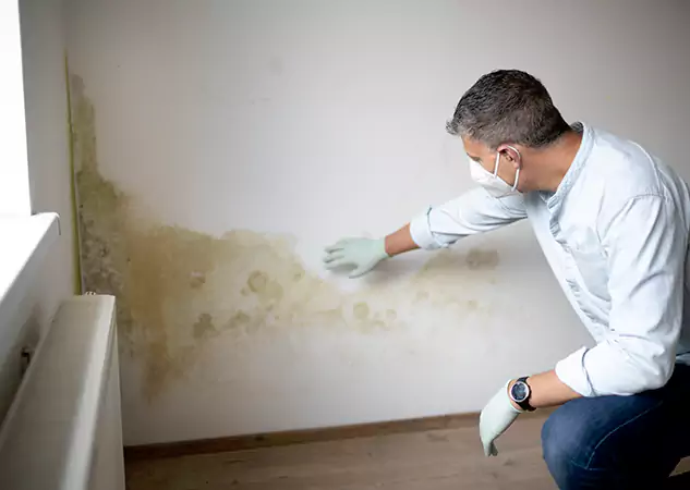 Reach Our Remediation Team Before Damage Grows in Marble Hill, GA!