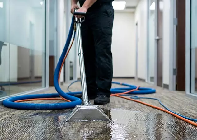 Your Water Damaged Carpet Restoration Partner in Marble Hill, GA