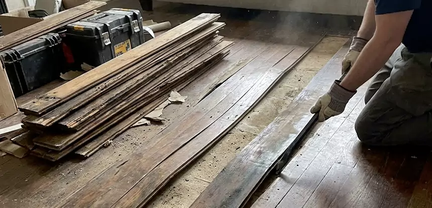 Wood Rot and Fungus Repair in Marble Hill