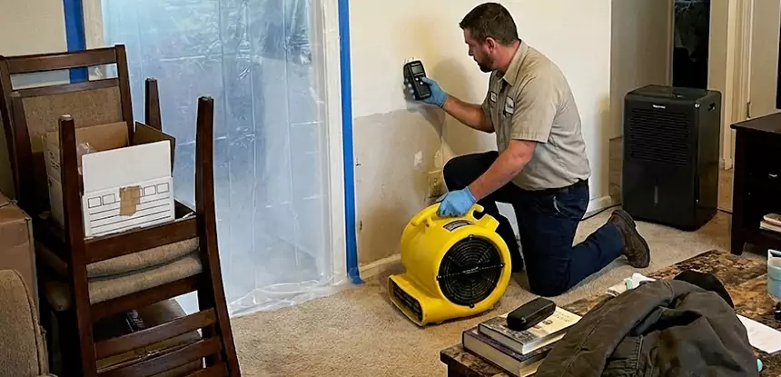 Carpet Water Damage Repair Marble Hill