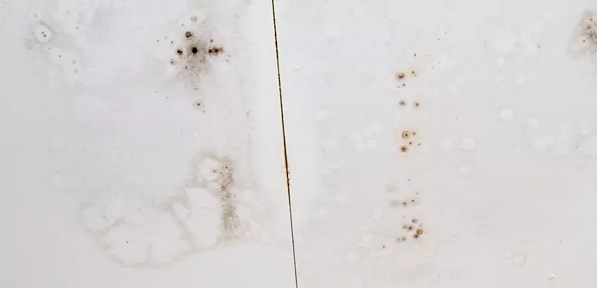 Professional Water Stain Repair Services in Marble Hill, GA