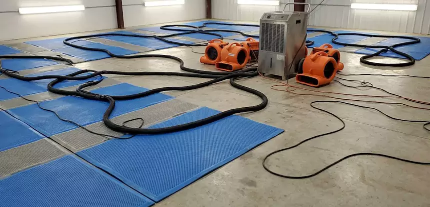 Professional Flooded Carpet Drying Services in Marble Hill, GA