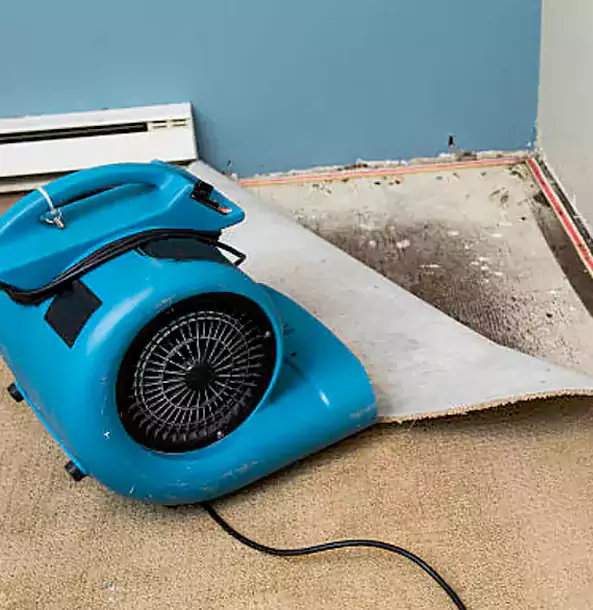 Why Marble Hill Trusts Marble Hill Restoration Pro for Carpet Flood Recovery?