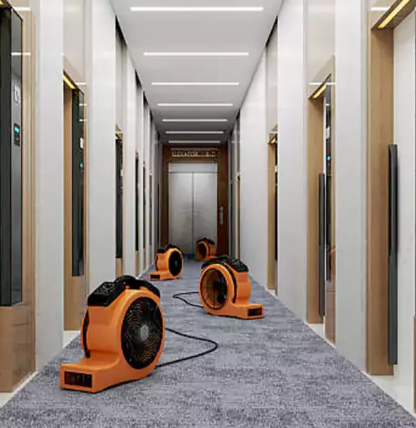 Why Marble Hill Trusts Marble Hill Restoration Pro?
