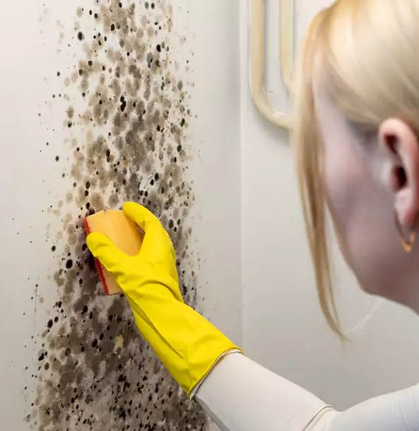 Why Marble Hill Restoration Pro Leads Mold Remediation in Marble Hill?