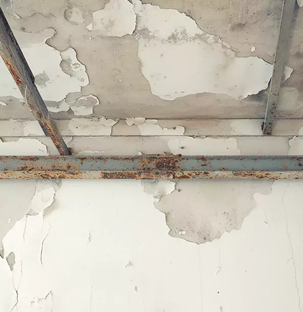 Why Marble Hill Restoration Pro Is the Right Choice in Marble Hill, GA?