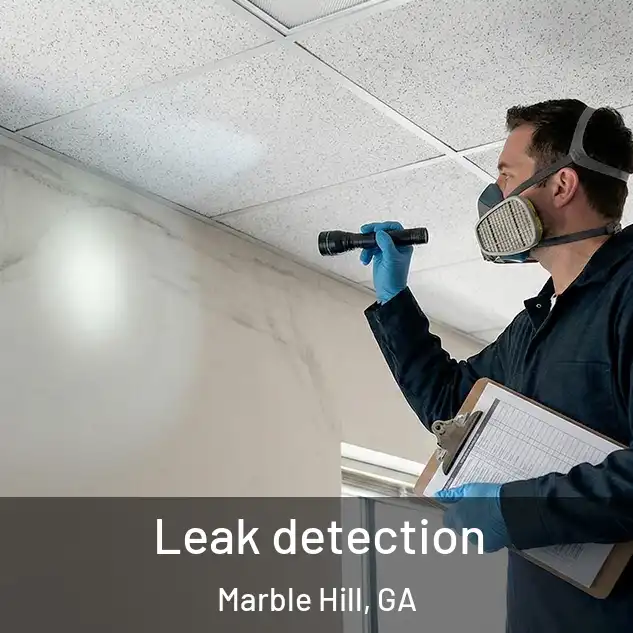  Leak detection Marble Hill, GA