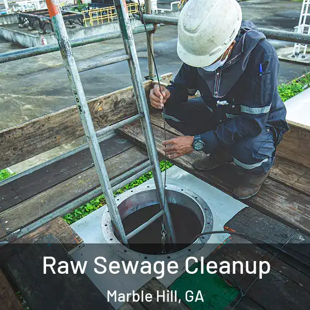  Raw Sewage Cleanup Marble Hill, GA