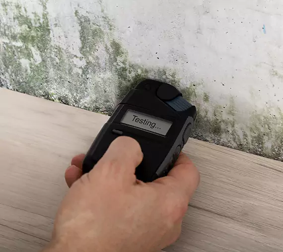 Mold Remediation Service Marble Hill
