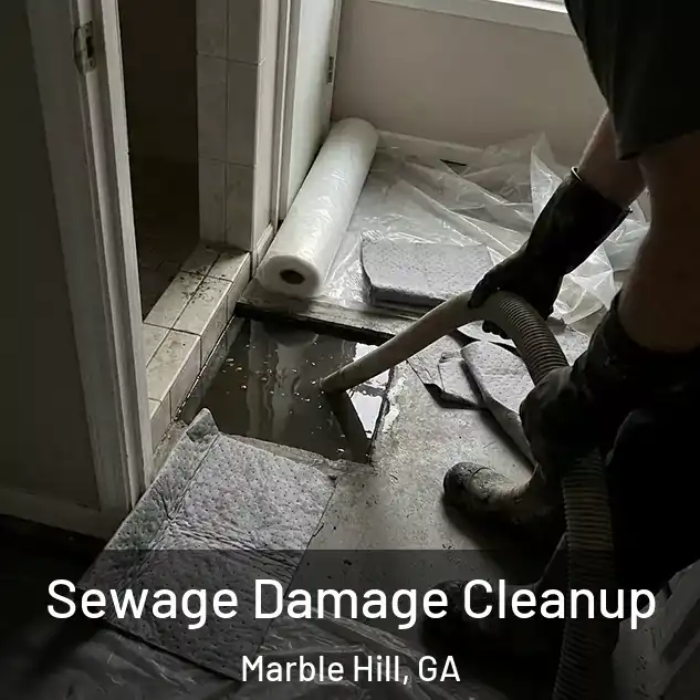  Sewage Damage Cleanup Marble Hill, GA