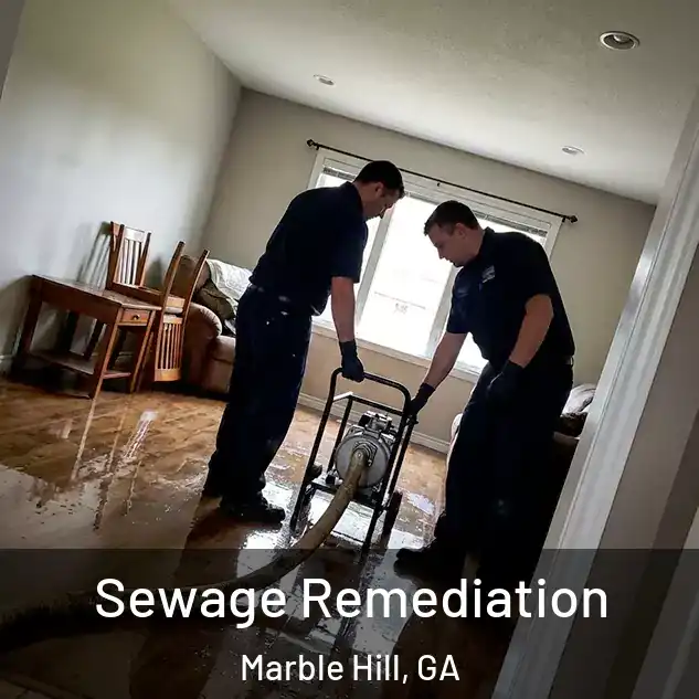  Sewage Remediation Marble Hill, GA
