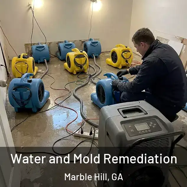 Water and Mold Remediation Marble Hill, GA