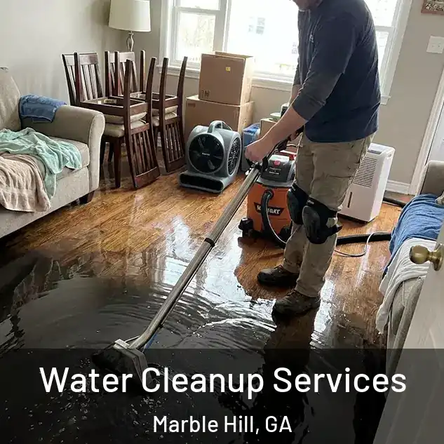  Water Cleanup Services Marble Hill, GA