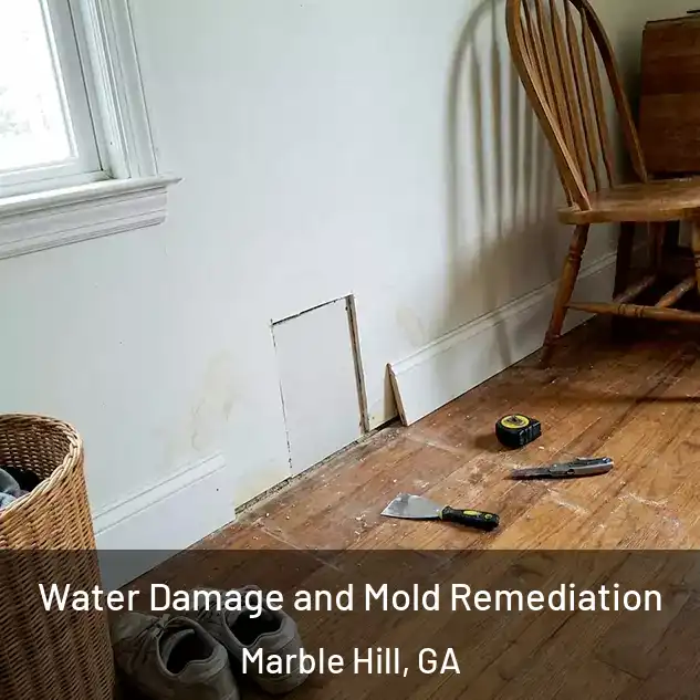  Water Damage and Mold Remediation Marble Hill, GA