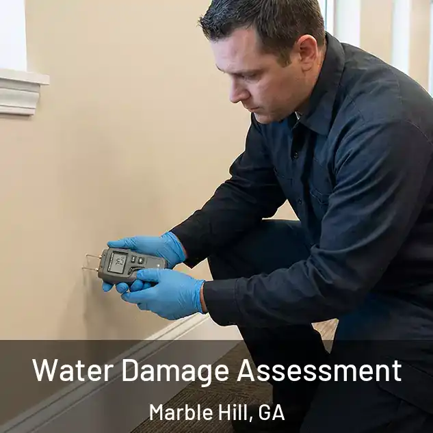  Water Damage Assessment Marble Hill, GA
