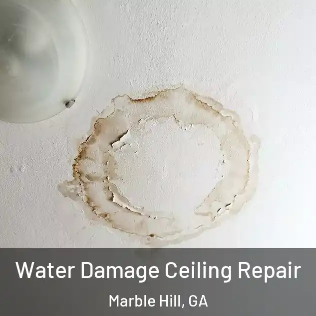  Water Damage Ceiling Repair Marble Hill, GA