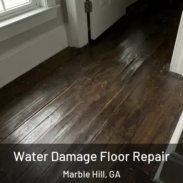  Water Damage Floor Repair Marble Hill, GA
