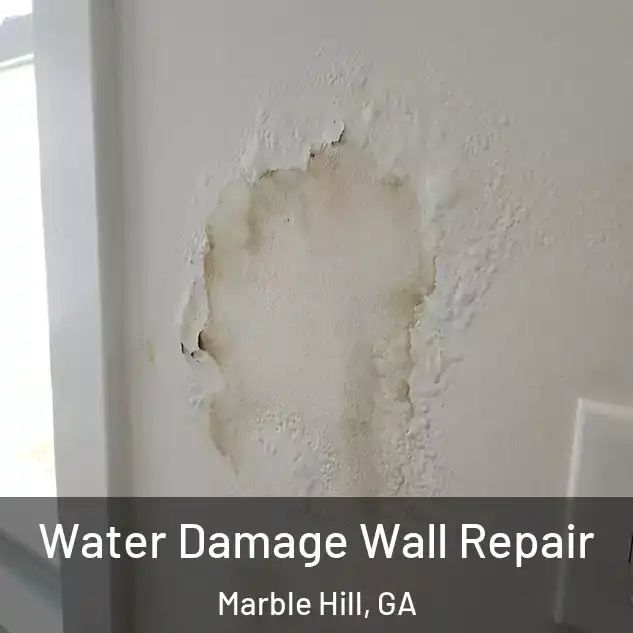  Water Damage Wall Repair Marble Hill, GA