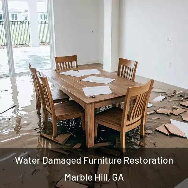  Water Damaged Furniture Restoration Marble Hill, GA