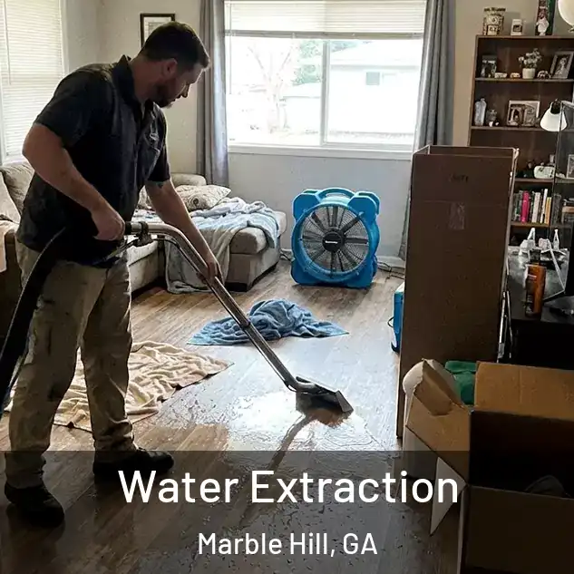  Water Extraction Marble Hill, GA
