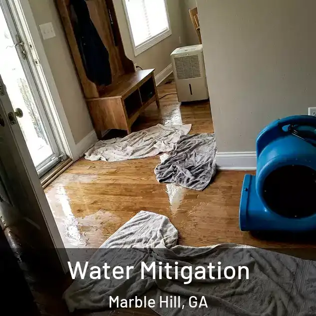  Water Mitigation Marble Hill, GA
