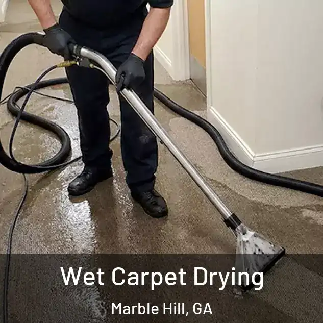  Wet Carpet Drying Marble Hill, GA